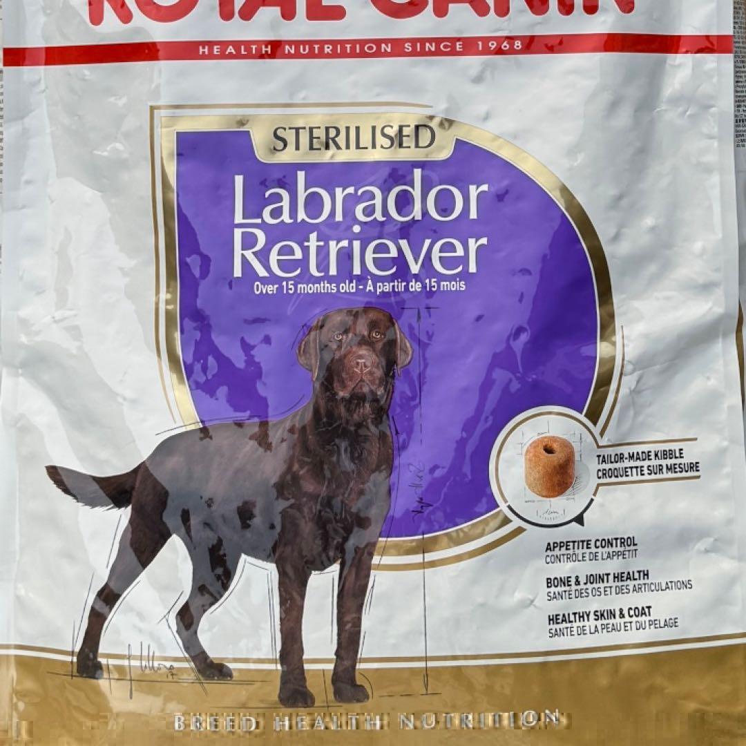 ◎ろっくページ◎