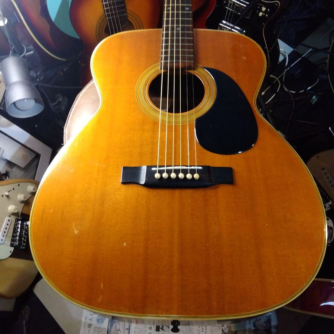 Greco、アコースティックギター！