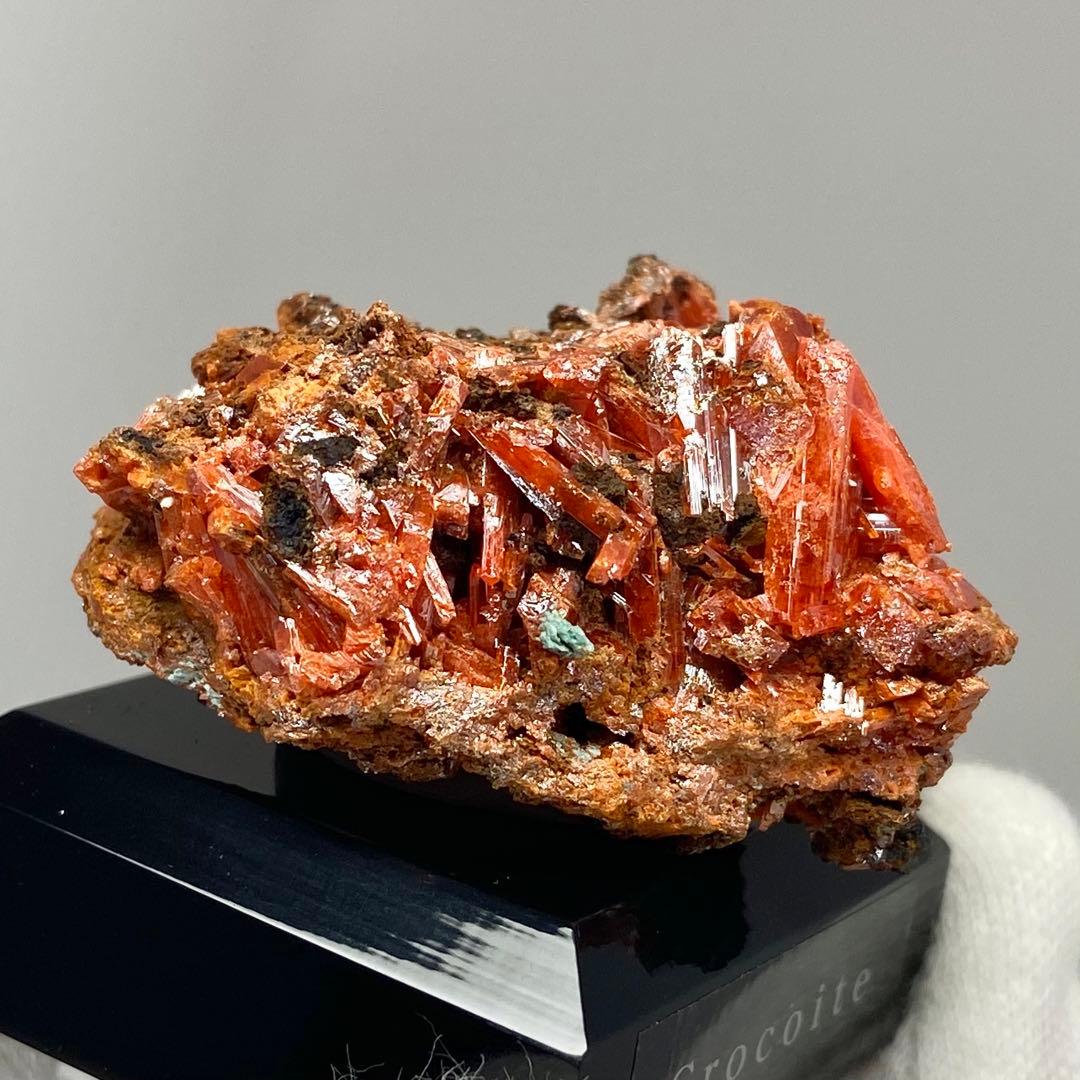 クロコアイト　紅鉛鉱　鉱物標本　原石　天然石　ストーン　タスマニア