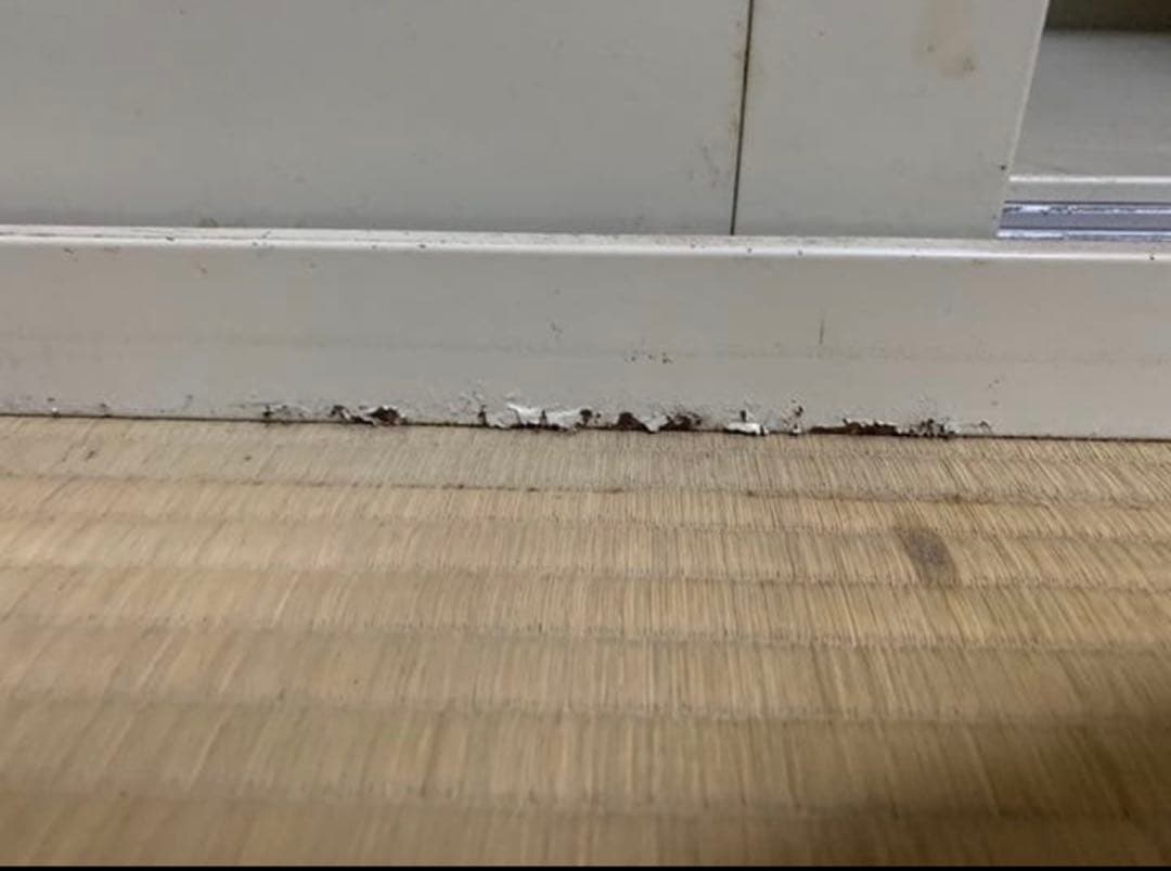 コクヨ ステール　キャビネット