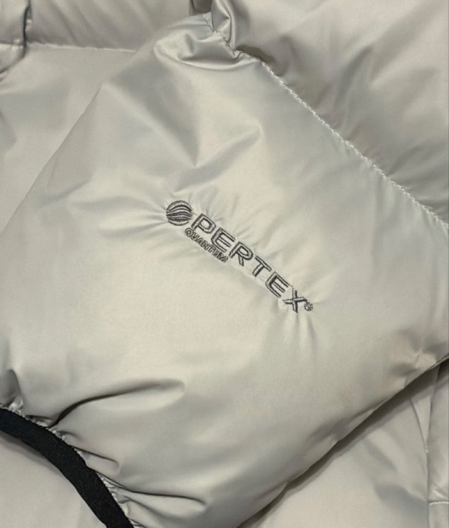 This is never that Mサイズ　ダックダウン　グレー