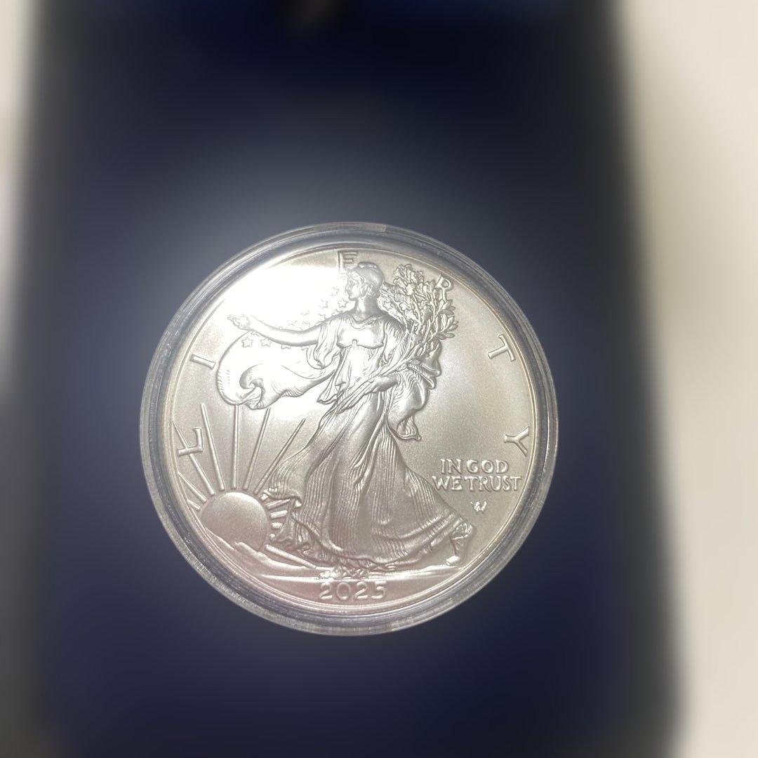 2025年 ウィングドリバティ 銀貨 1ドル