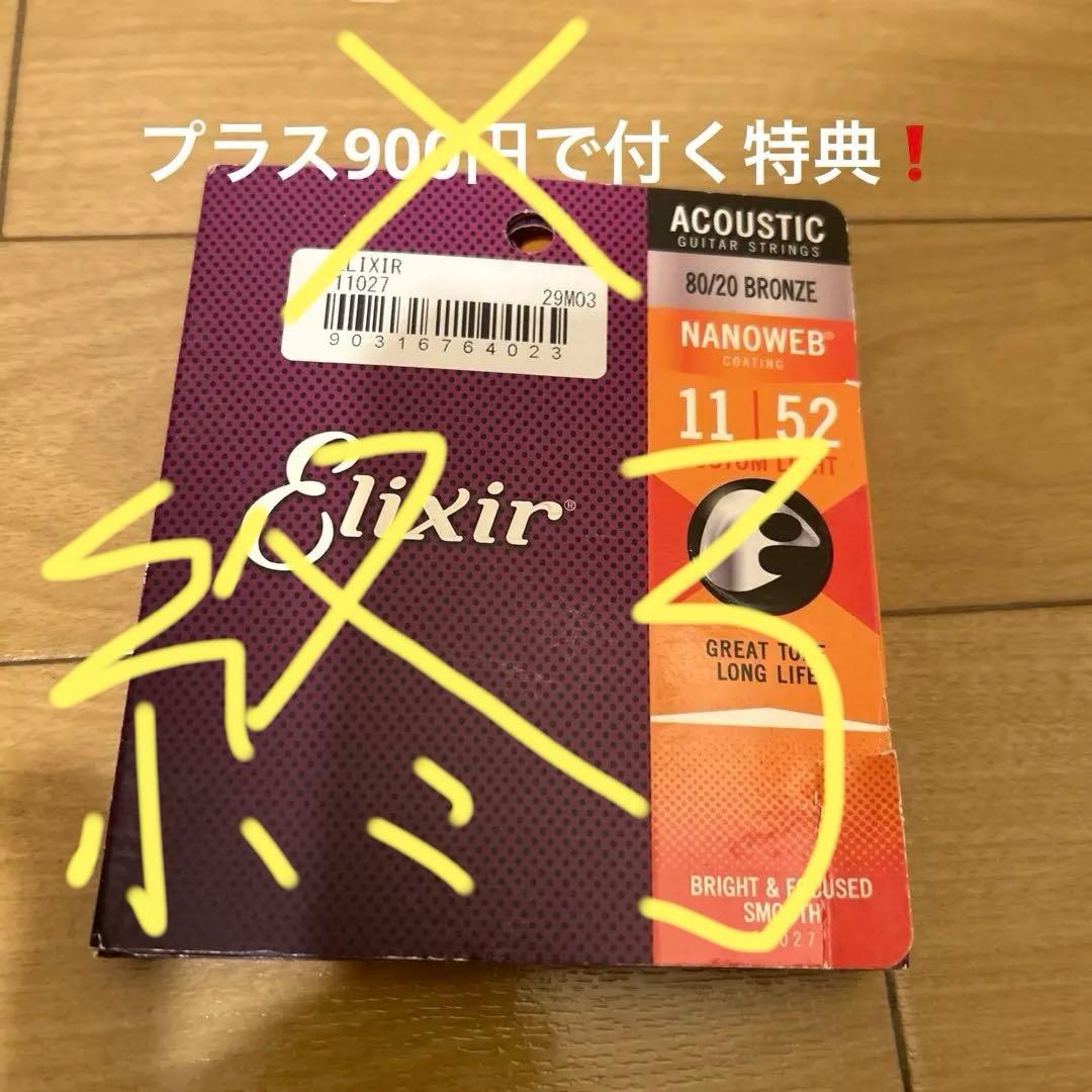 MorrisG-021 RBS 縦ロゴトップ単板フレイムマホガニー純正ギグバッグ