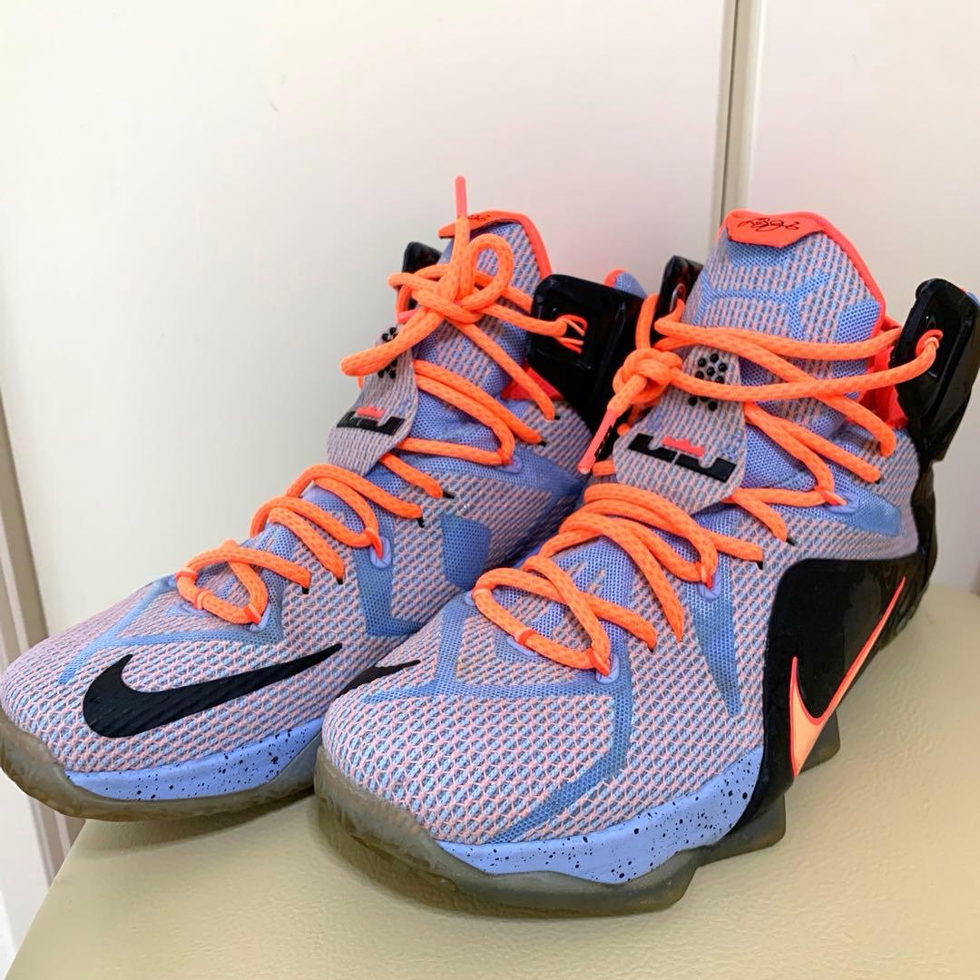 NIKE The twelve スニーカー　レブロン　27.5 箱あり