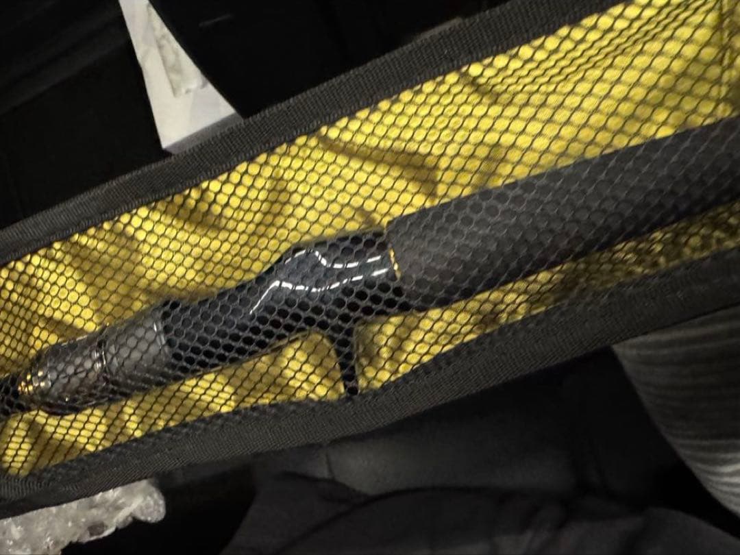 モアザン ブランジーノ EX AGS 80HBベイトモデル　①