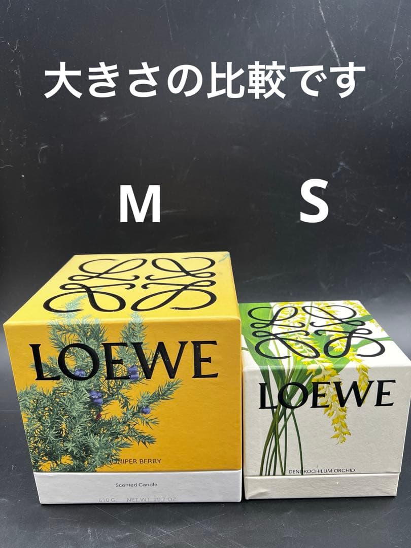 LOEWE❣️アロマキャンドル　M 　　　　　 オレガノ