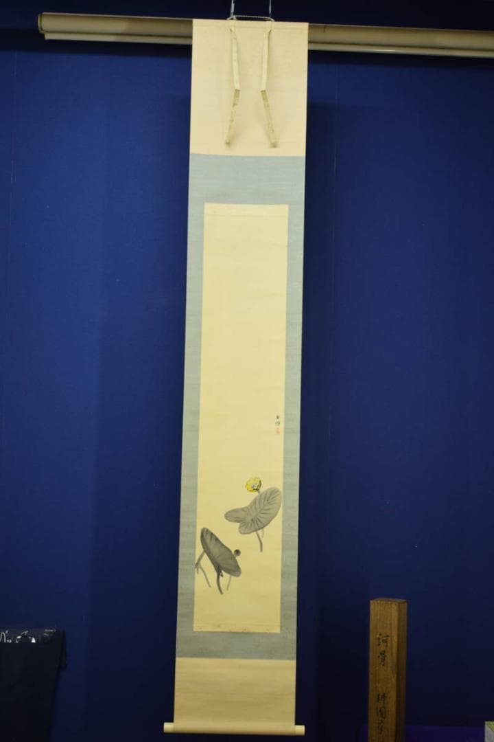 真作/庭山耕園/河骨図/コウホネ図/桐題箱付/布袋屋掛軸HI-266