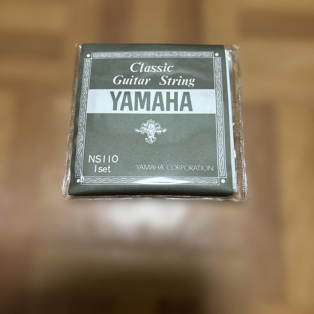 Enya NEXG 2N クラシックギター　エレガット　各種備品、新品弦付属