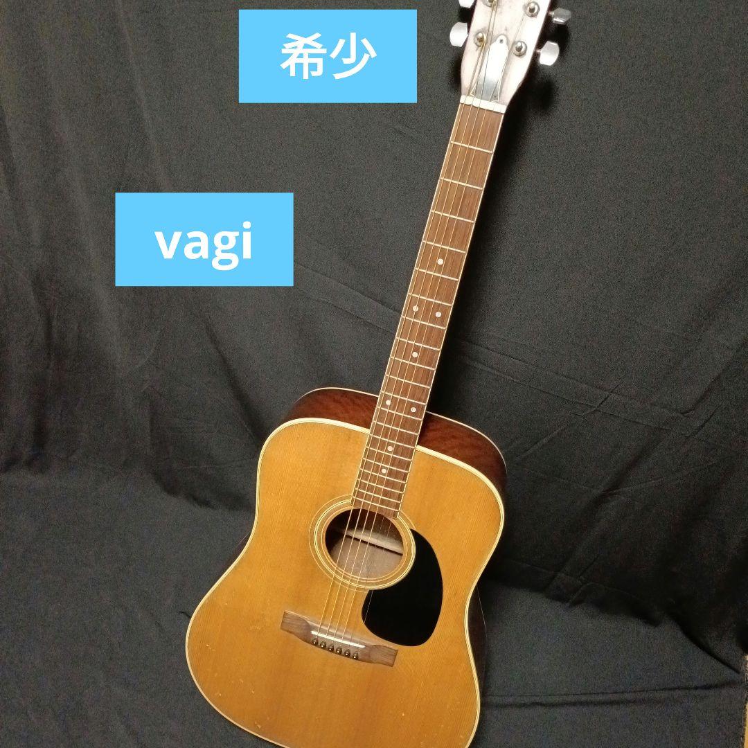 vagi 希少 アコースティックギター