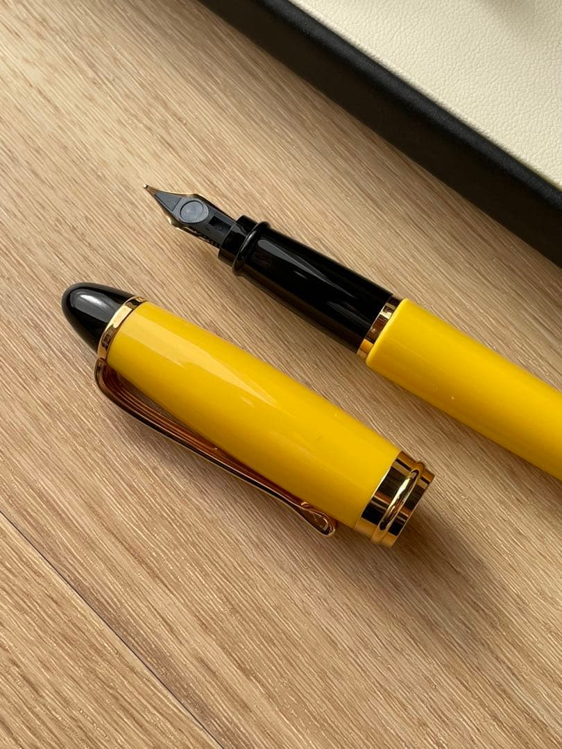 AURORA アウロラ イエロー イプシロン 万年筆 専用ケース付