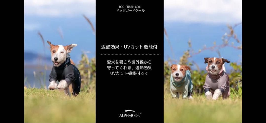 アルファアイコンドッグガードクールLサイズ