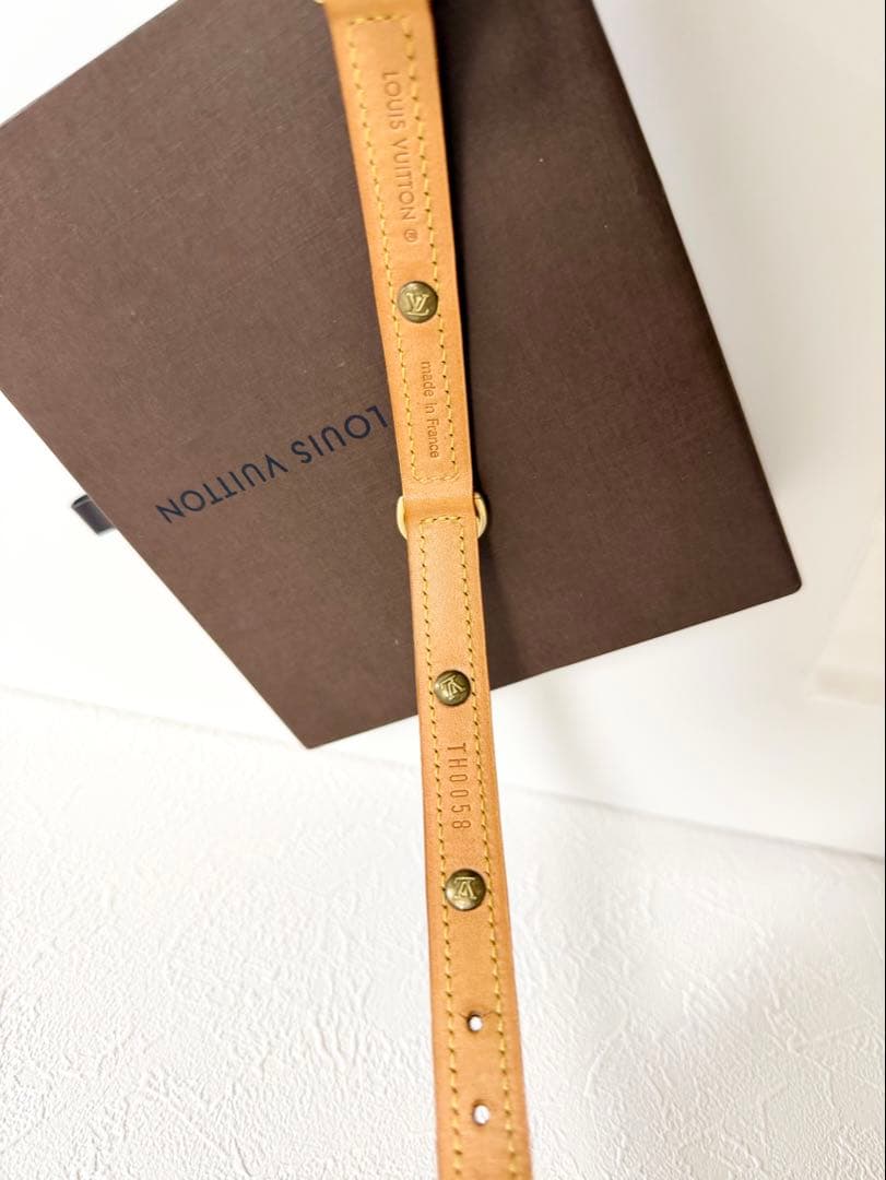 【美品】LOUIS VUITTON ルイヴィトン　首輪　モノグラム