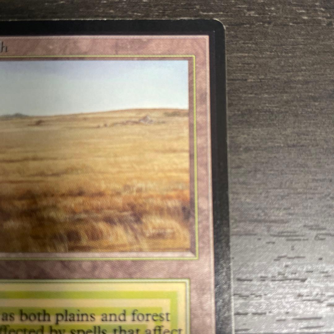 マジック：ザ・ギャザリング Savannah LEB signed