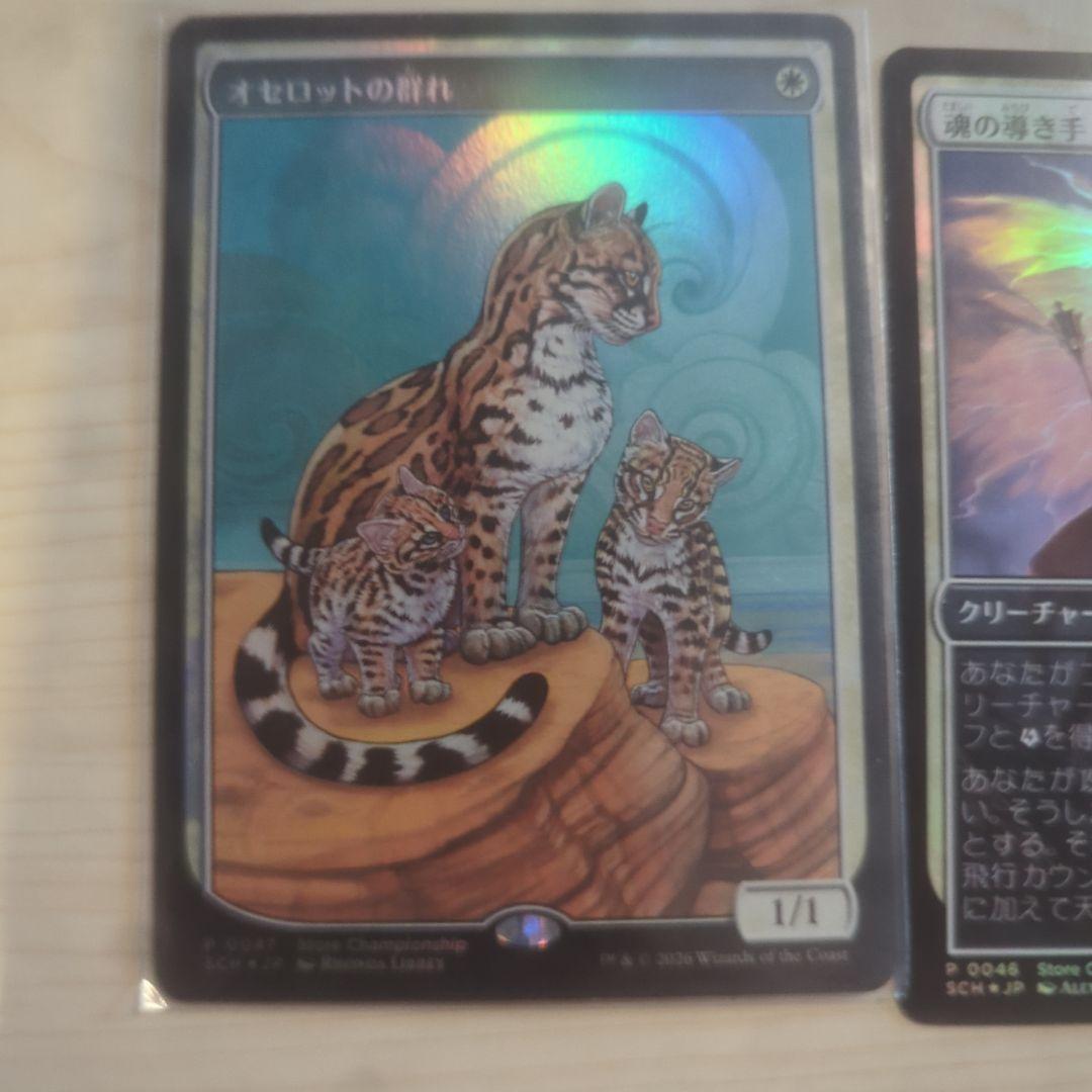 オセロットの群れ　csプロモ