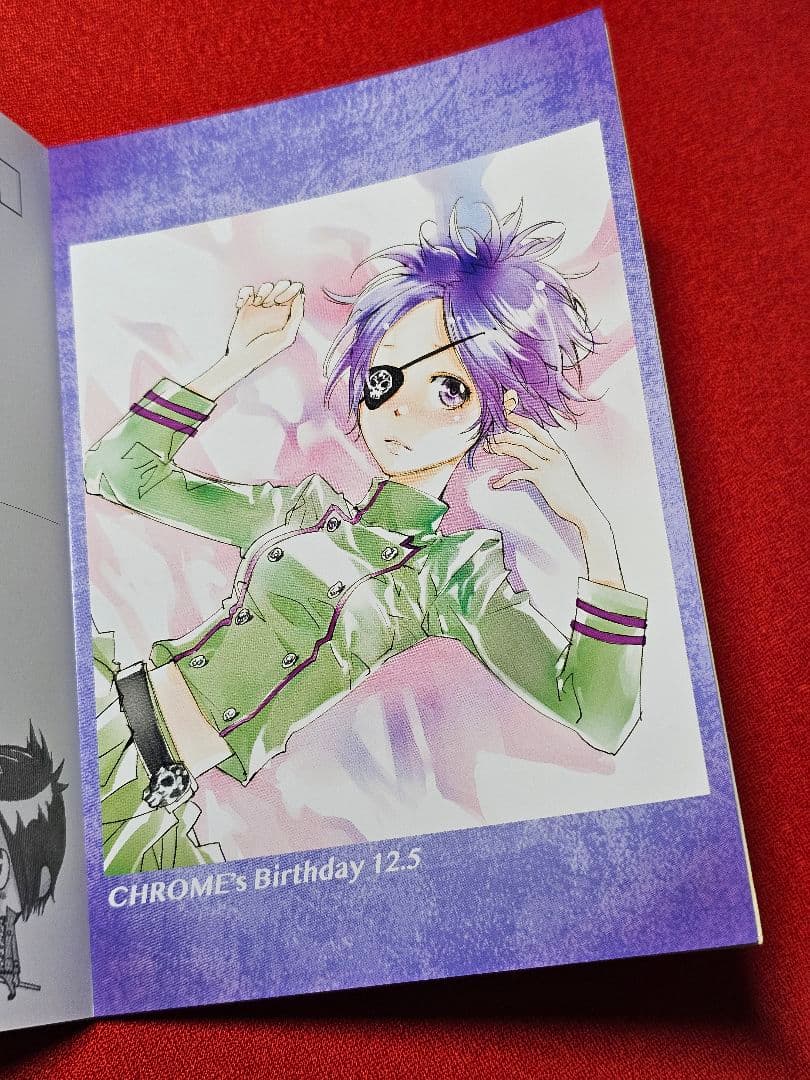 【希少】リボーン　ポストカードブック