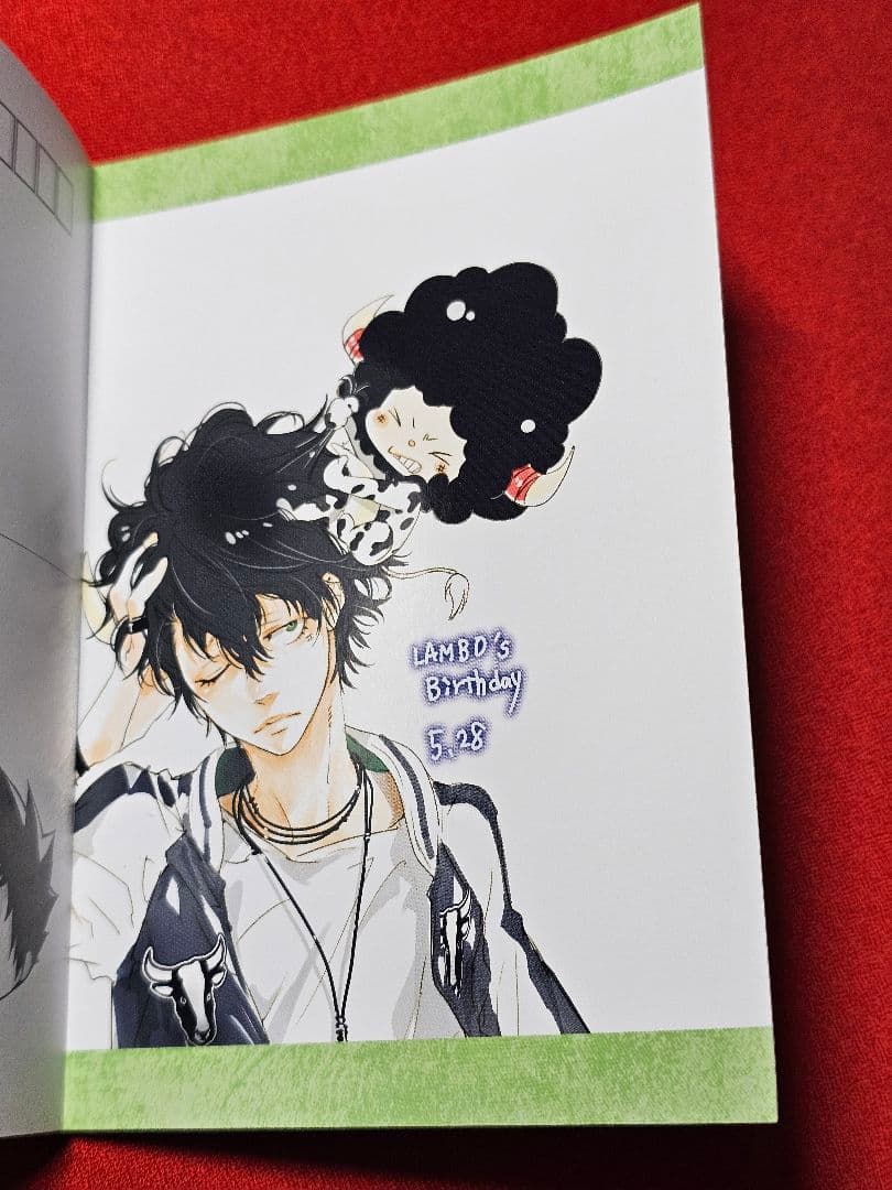 【希少】リボーン　ポストカードブック