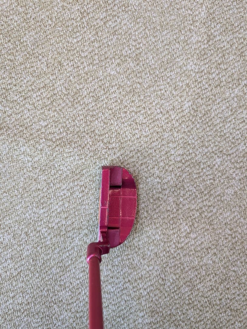 ワークスゴルフ Bisser レディースクラブ　9本セット　送料無料