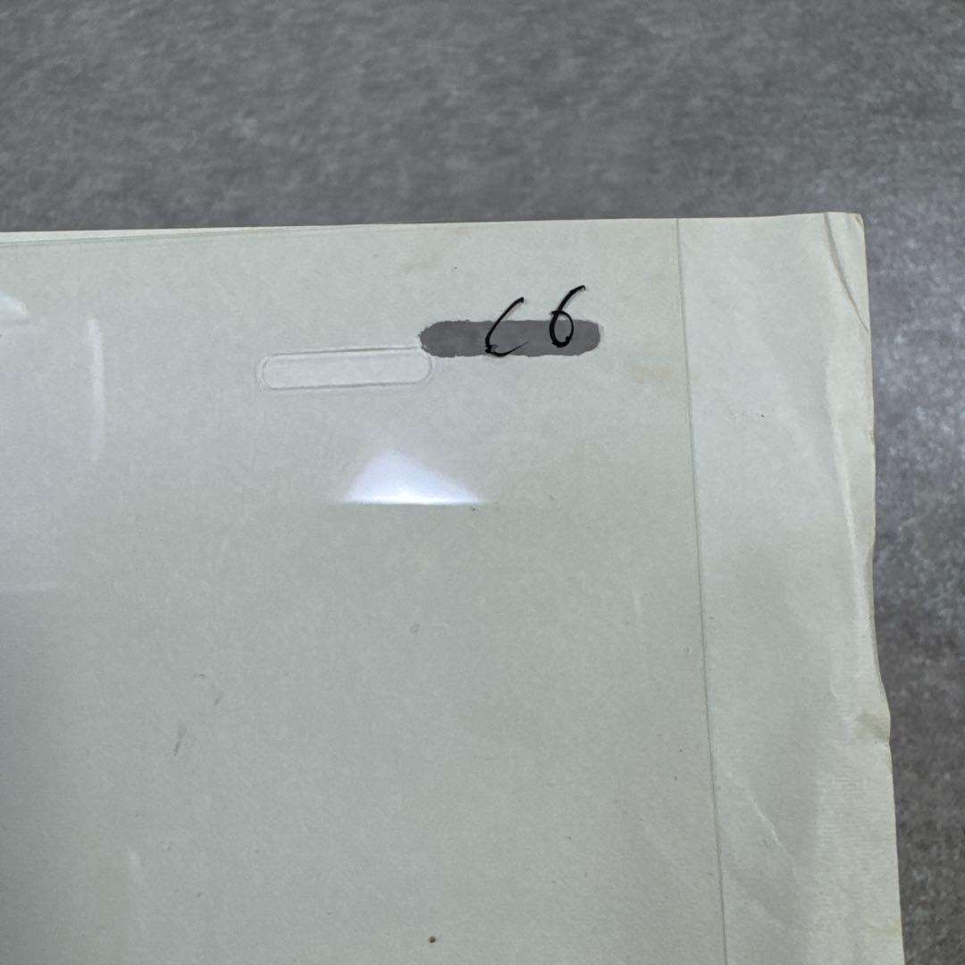 希少 あらいぐまラスカル ラスカル C6 セル画 日本アニメーション