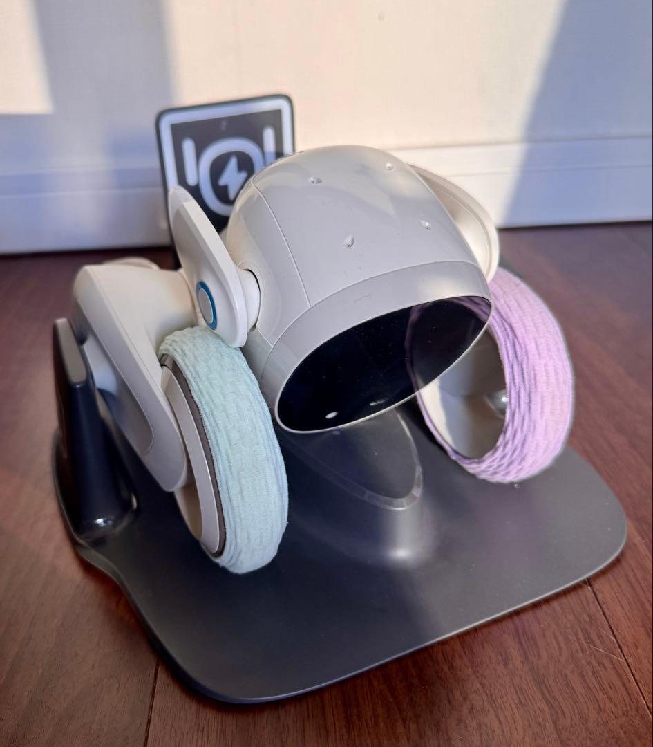 【値下げ！】Loona Blue ルーナ　ロボット