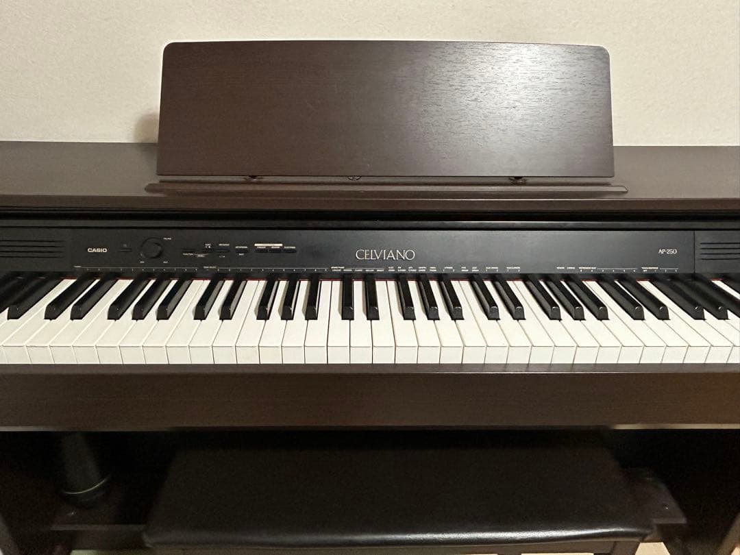 セルビアーノ　CASIO AP-250 多機能電子ピアノ