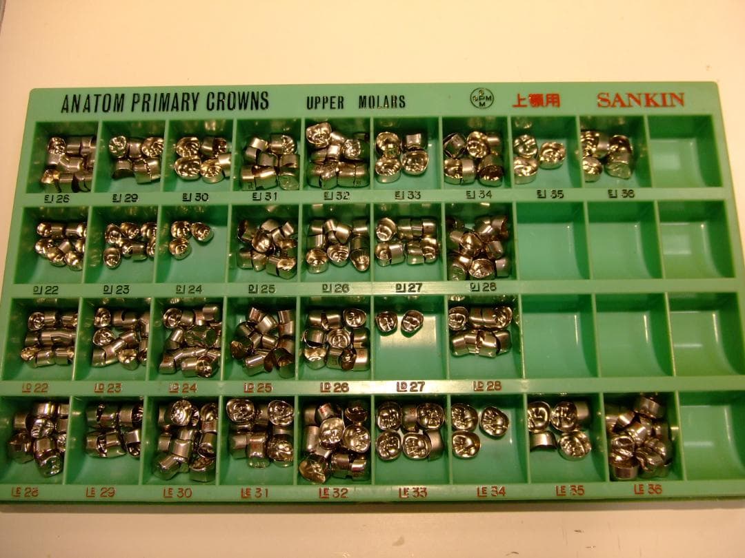 アナトム乳歯冠　歯科