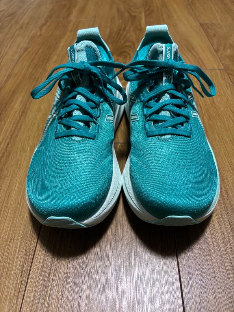 超美品　ASICS GEL-NIMBUS 27 25.0cm レディース