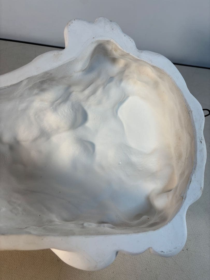 石膏像　メディチ　デッサン　半面像　美術　絵画　オブジェ　彫刻　アート