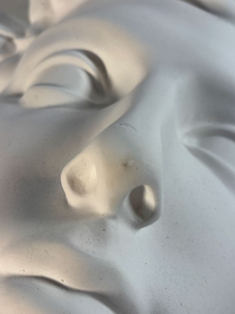 石膏像　メディチ　デッサン　半面像　美術　絵画　オブジェ　彫刻　アート