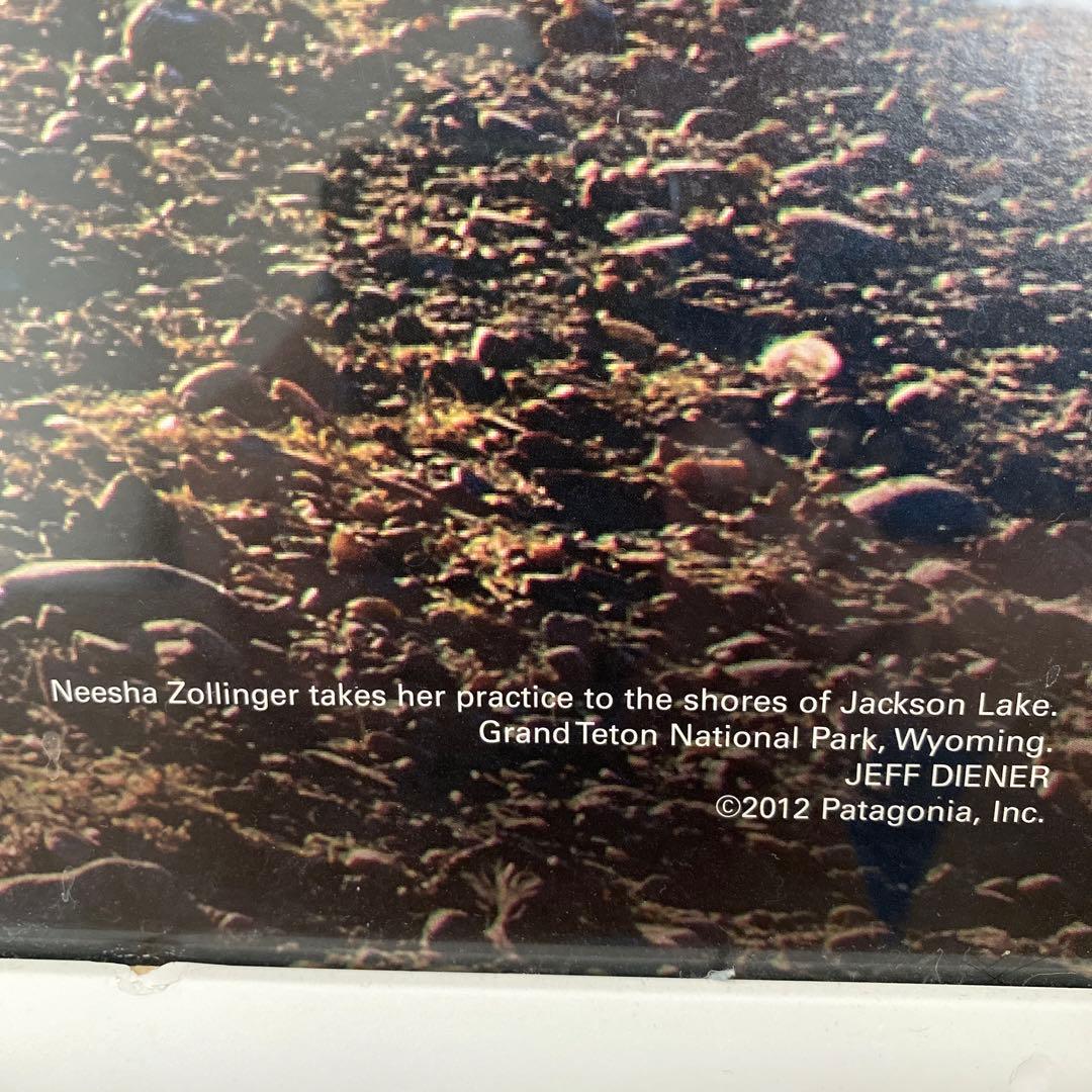 patagonia パタゴニア ポスター 額装品 特大 96cm×66cm