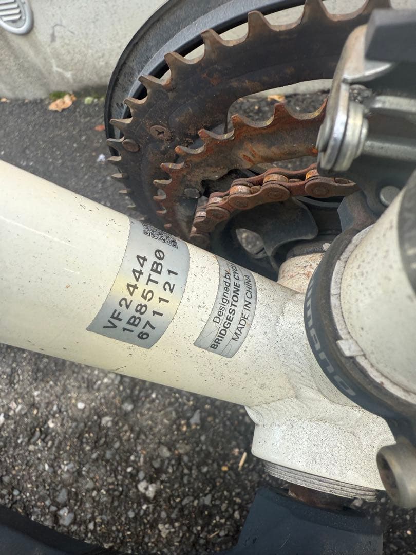 ニ*☆様 ブリヂストン　CYLVA F24 (シルヴァF24) ホワイト クロス