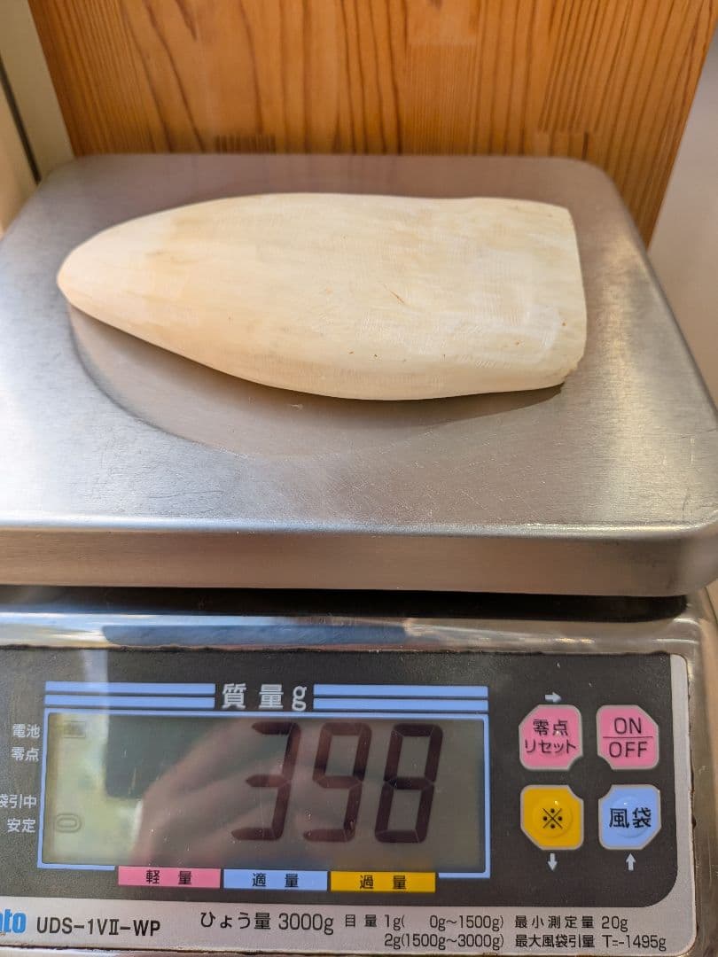 マッコウ鯨歯　本物オス歯メス歯セット