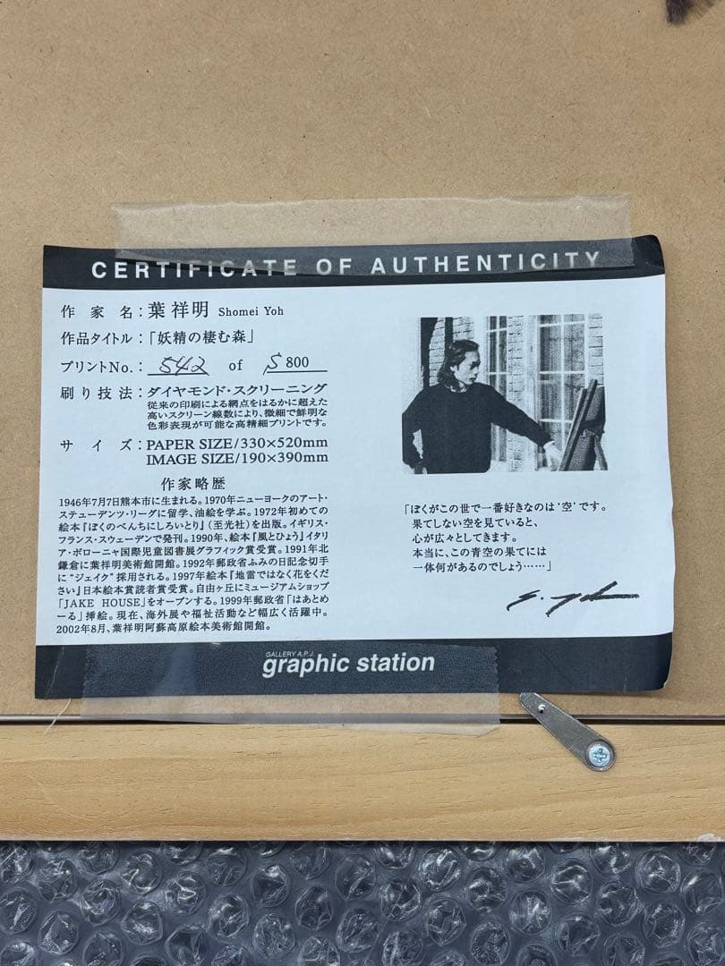 葉祥明「妖精の棲む森」版画リトグラフ