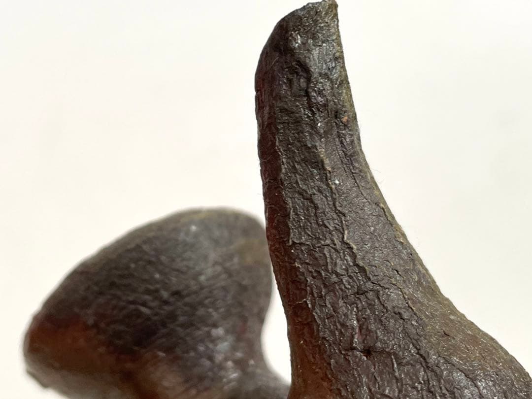 陶芸家　國吉清尚　カラカラ　水注　徳利　酒器　　焼締　徳利