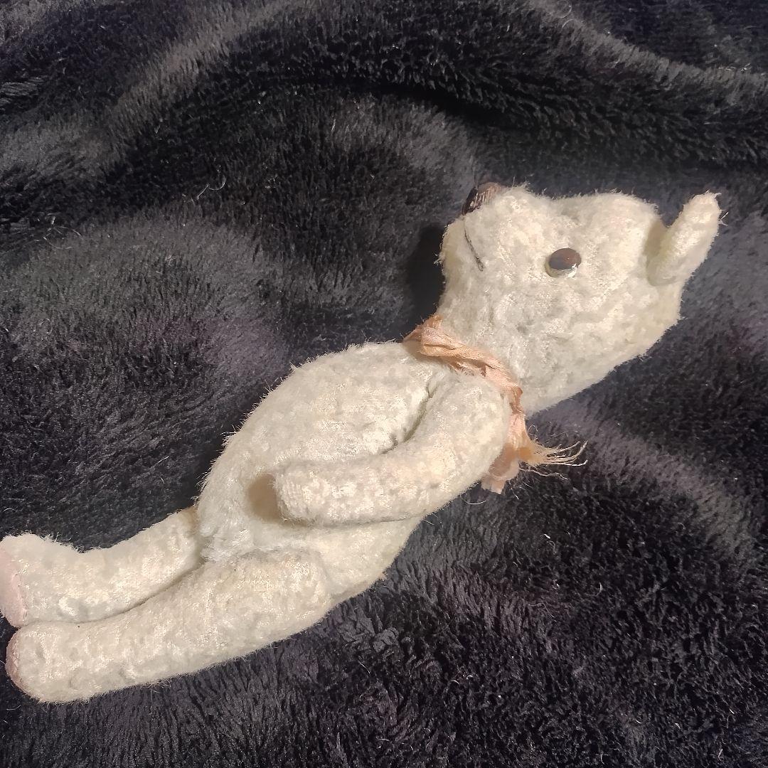 テディベア　加藤日砂