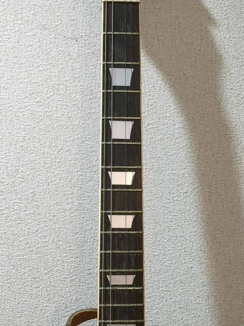 Greco グレコ エレキギター ソフトケース付き Guitar　M2122