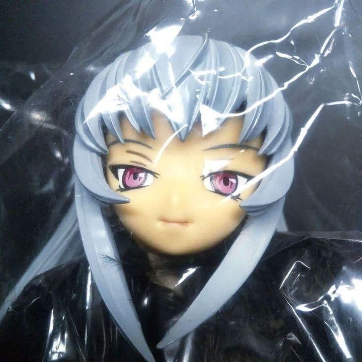 ▤アニメージュ 誌上限定 水銀燈 検：CCPエクスプラスソフビキットビリケン商会