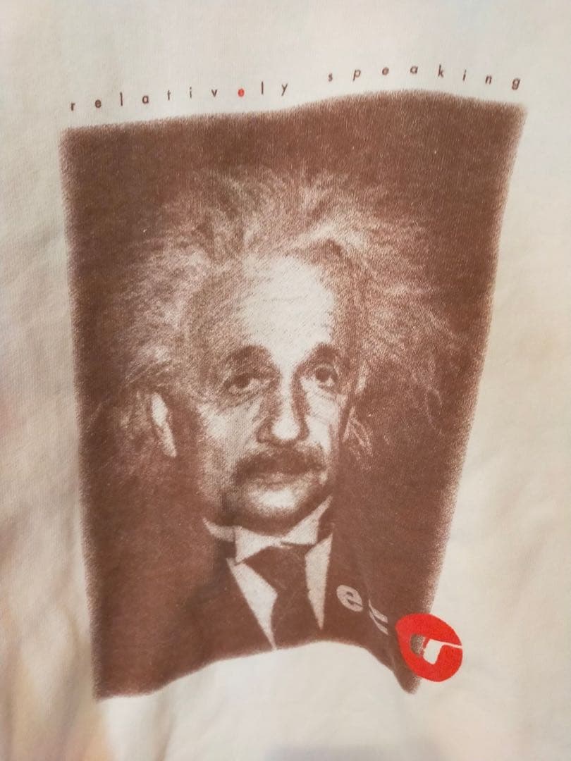 スウェット　古着　ビンテージスウェット　90s アインシュタイン　フルーツ　偉人