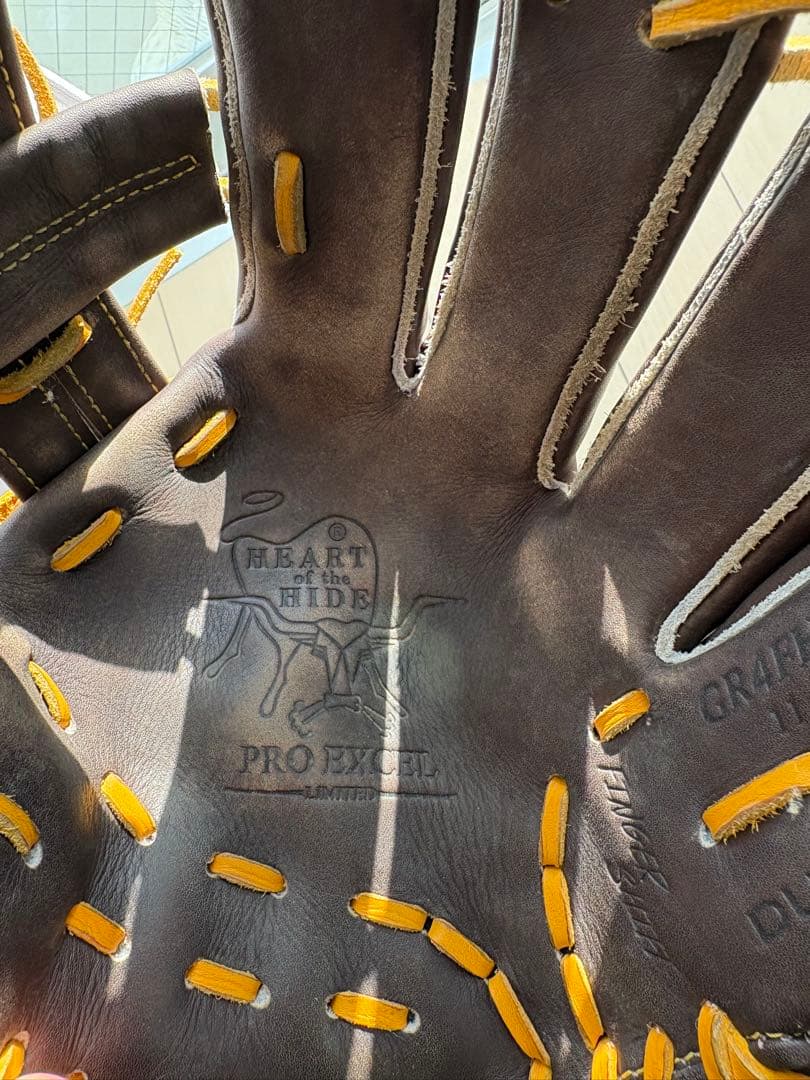 Rawlings 内野　ローリングス グローブ