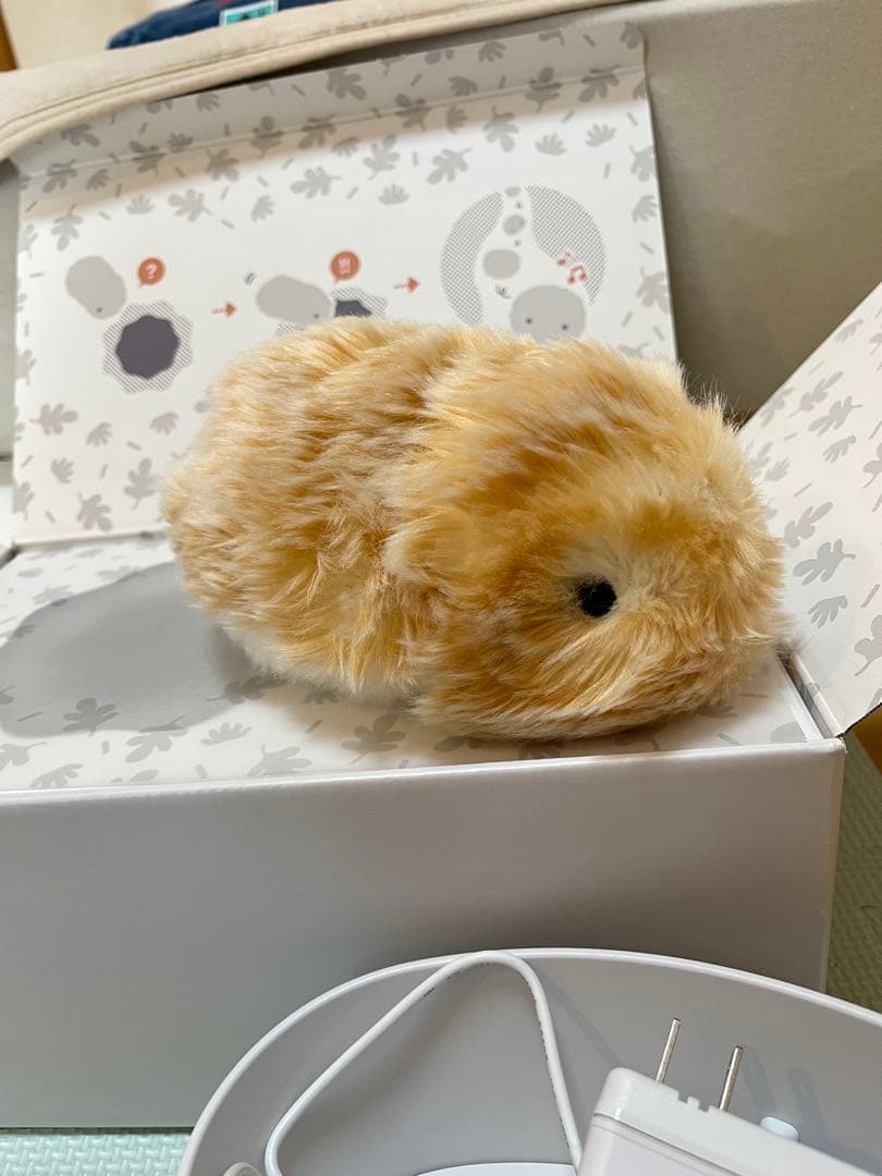 モフリン　ゴールド　CASIO