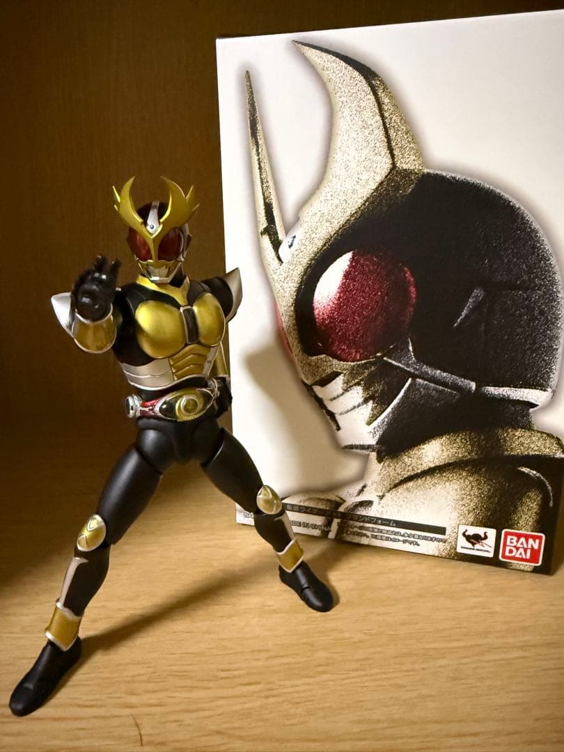 SHフィギュアーツ（真骨頂製法）仮面ライダー アギト