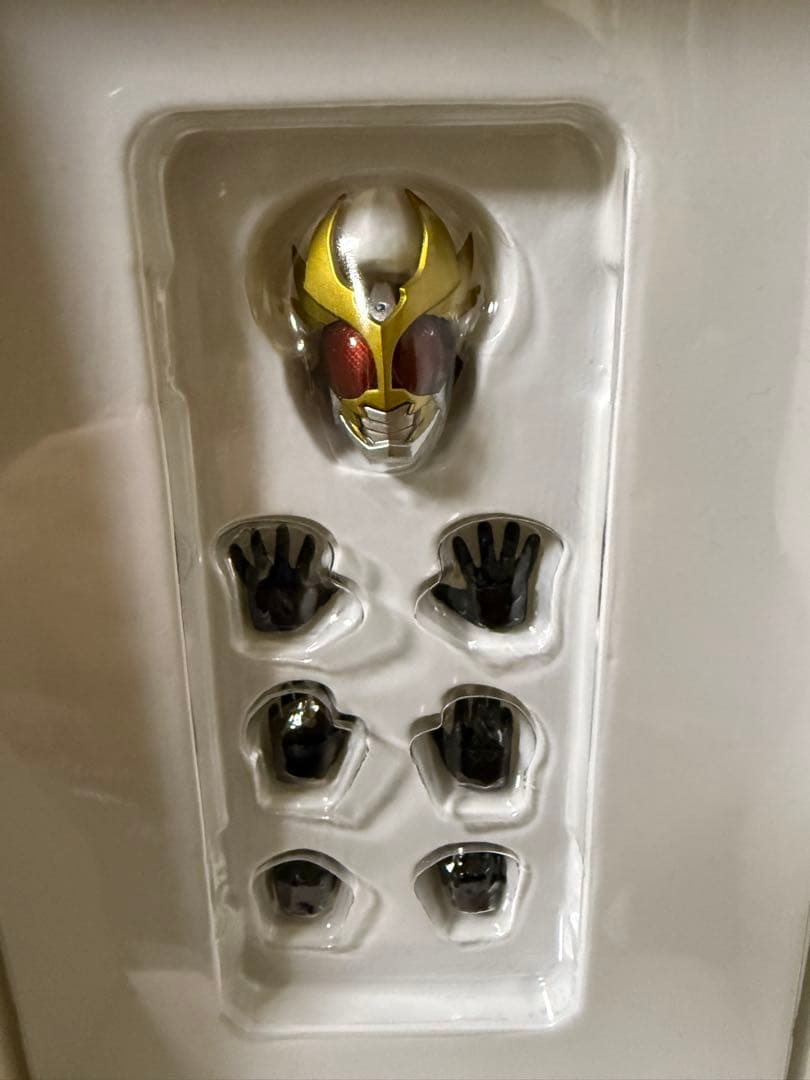 SHフィギュアーツ（真骨頂製法）仮面ライダー アギト