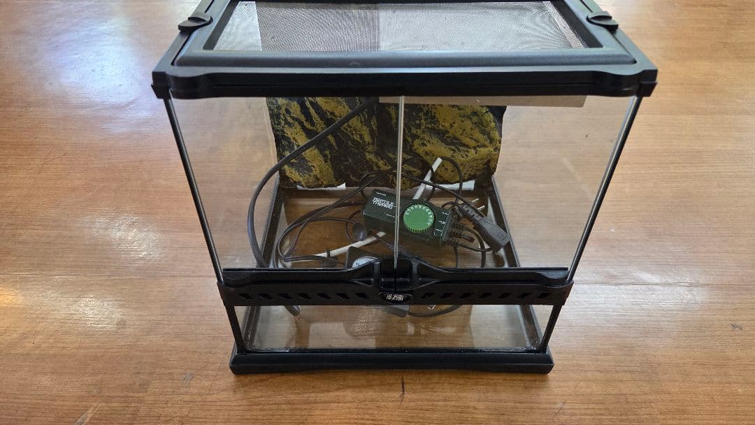 グラステラリウム　3030 サーモ、ダントツs 温度計