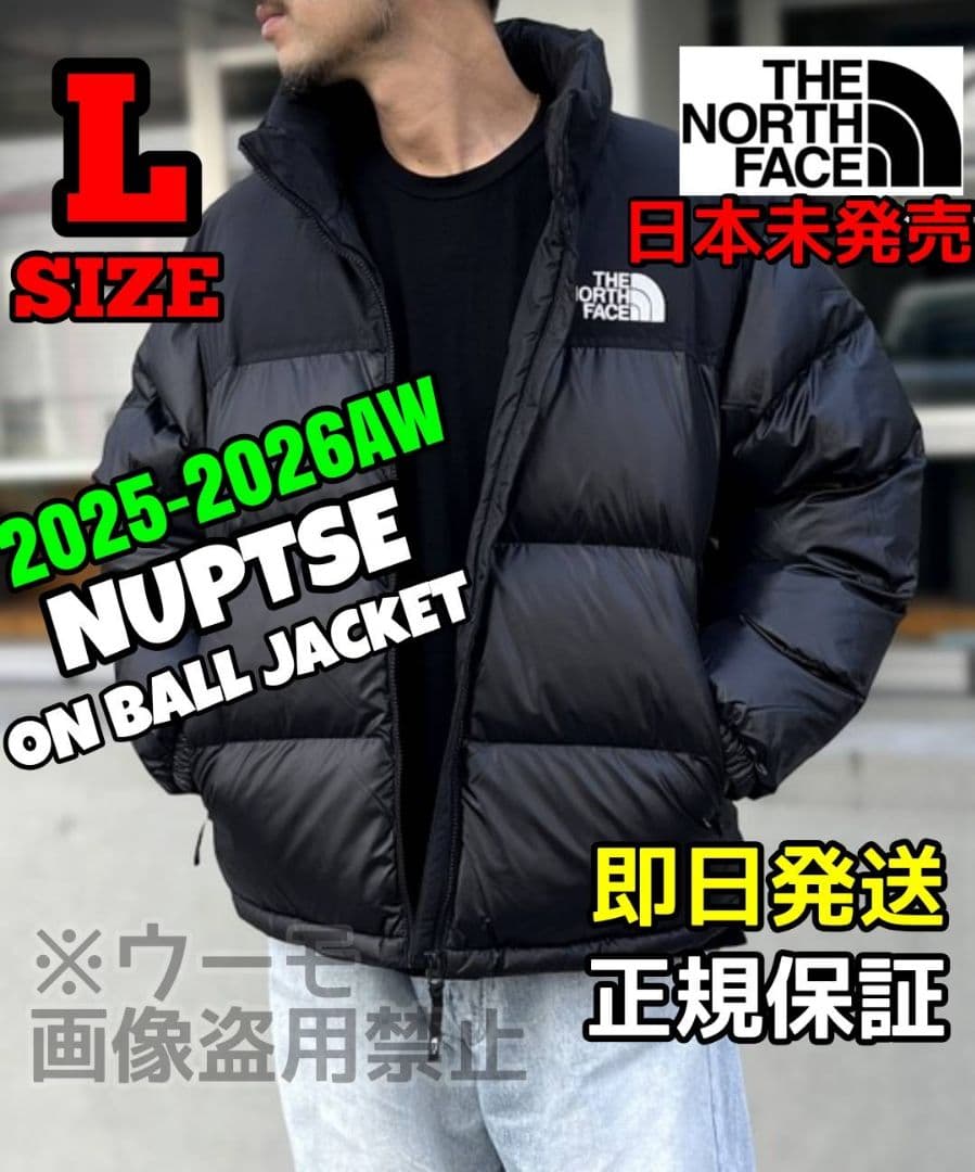 THE NORTH FACE ダウンジャケット ヌプシ NUPTSE Lサイズ