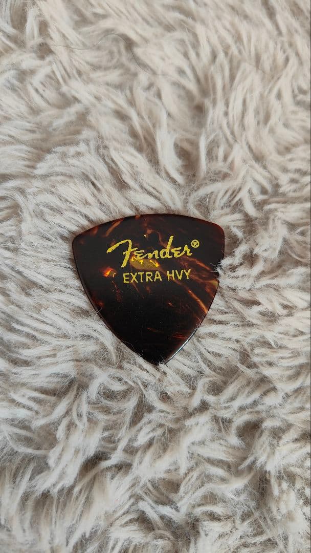 激レア　SHAKALABBITS　元メンバーKING サイン刻印入ピック