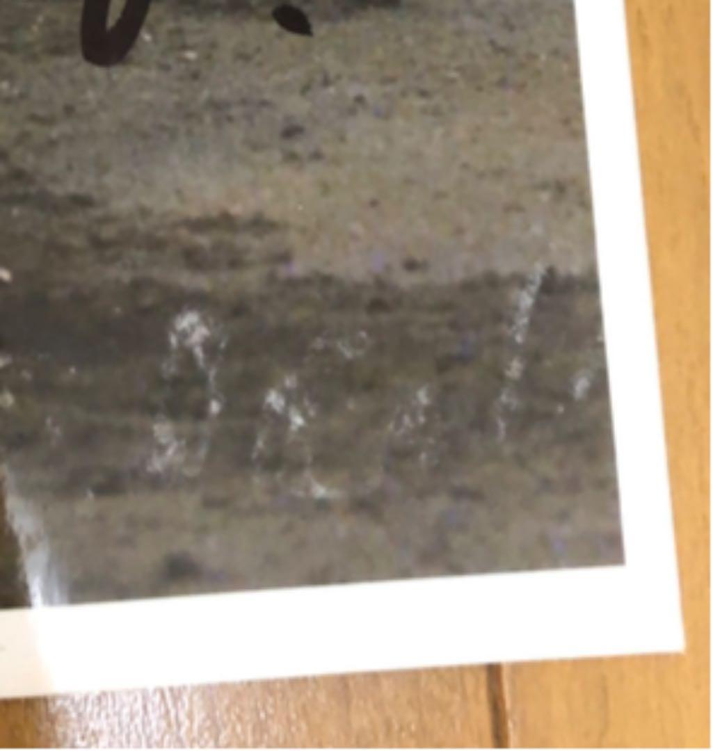 桑田真澄　直筆サイン入り　生写真　巨人　ジャイアンツ