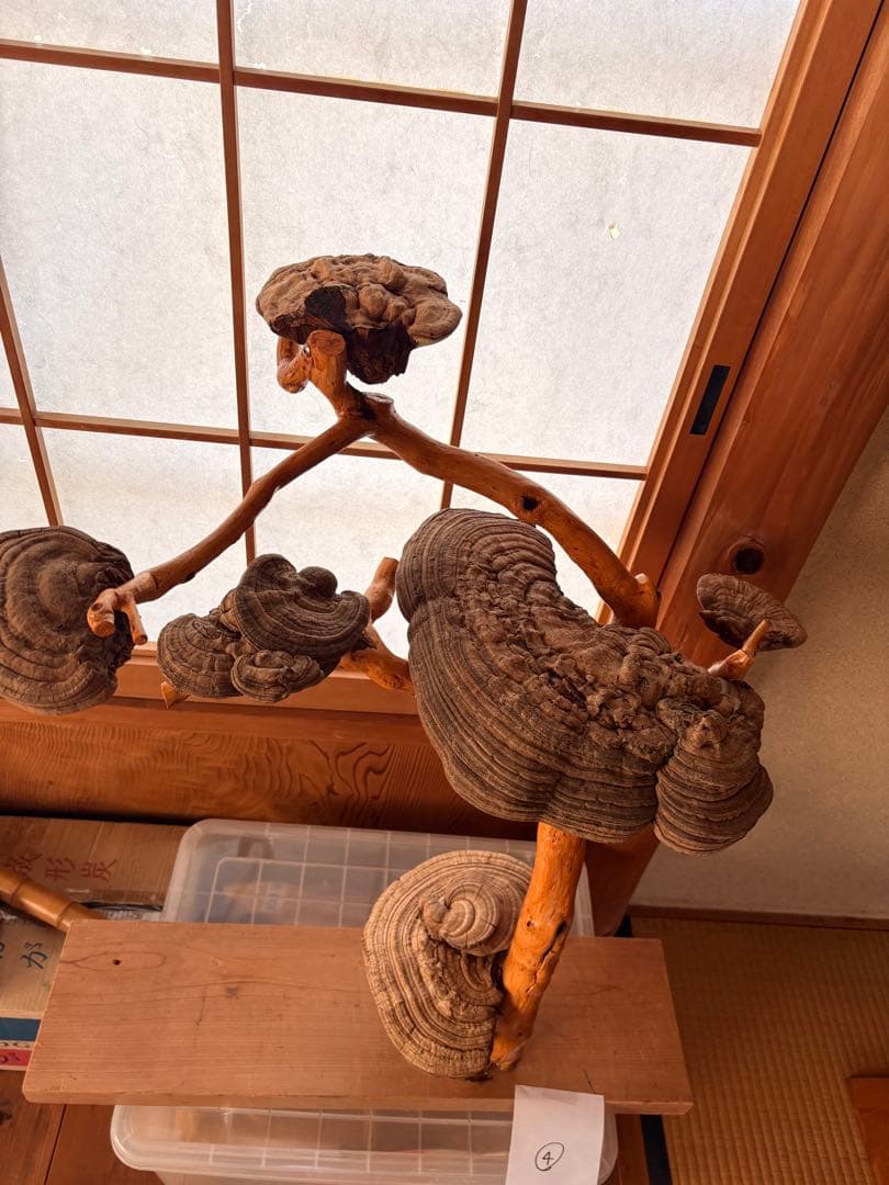 木製アートオブジェ 自然形状