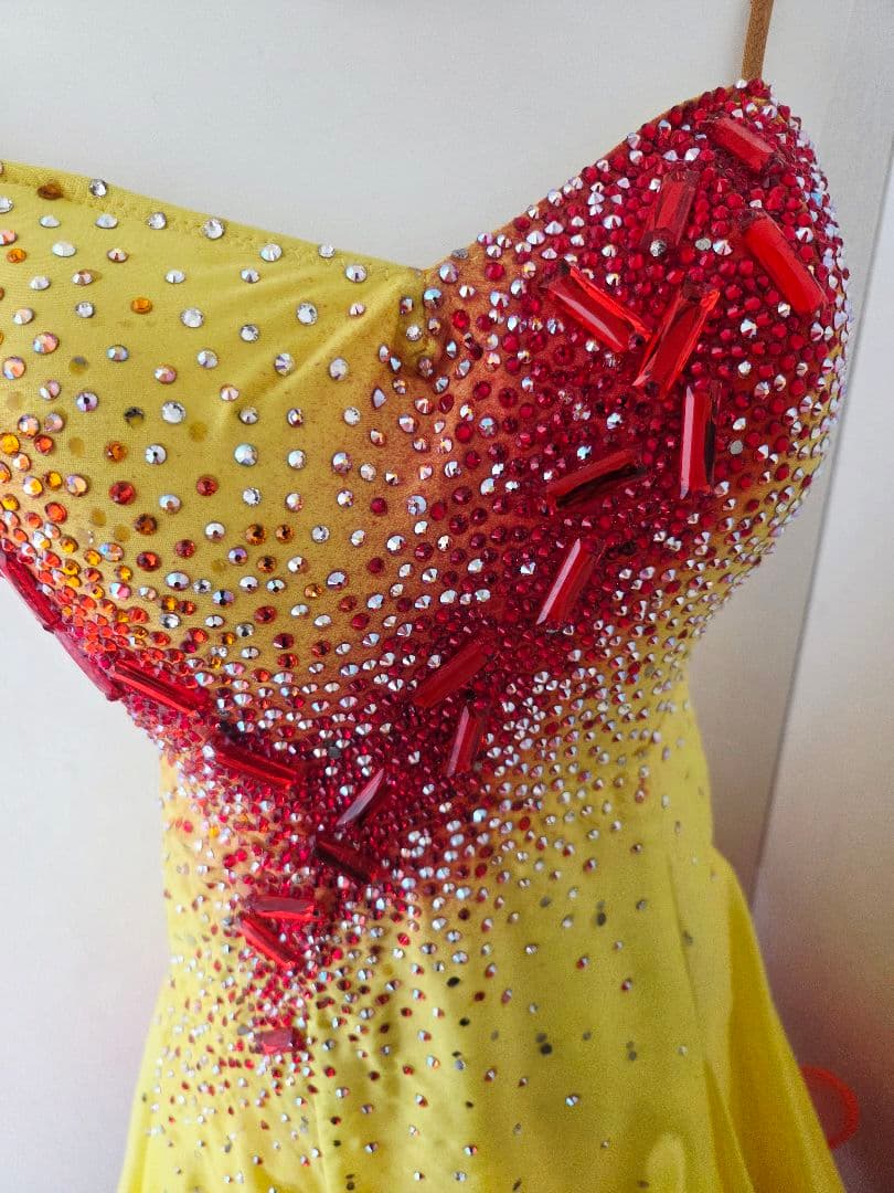 TAKADANCE タカダンス スタンダードドレス 社交ダンス