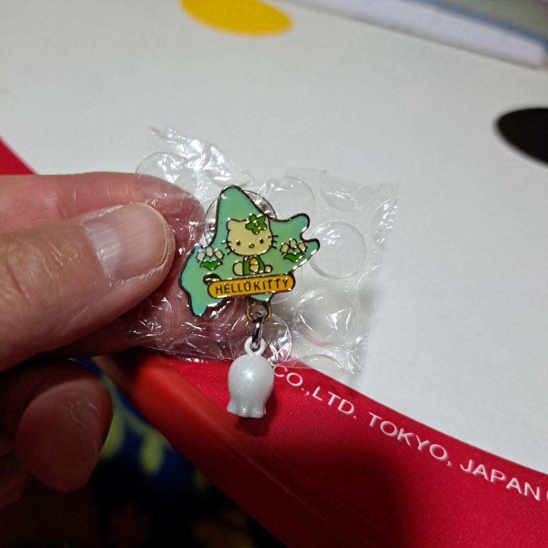 ✨超激レアコレクション✨ご当地キティピンバッチ28個、韓国限定2個の30個セット