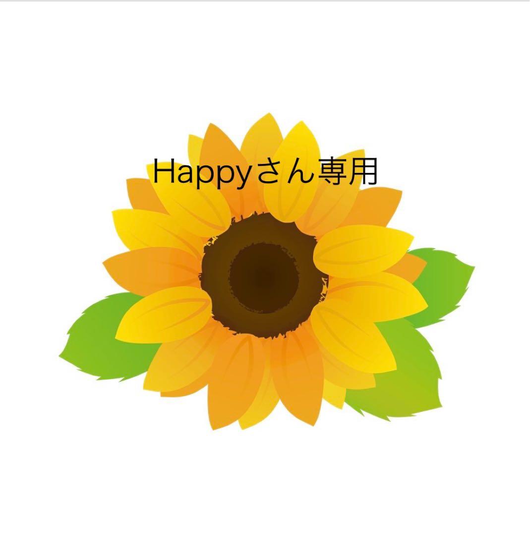 alivio H 小型純水素ガス吸入器 アリビオH