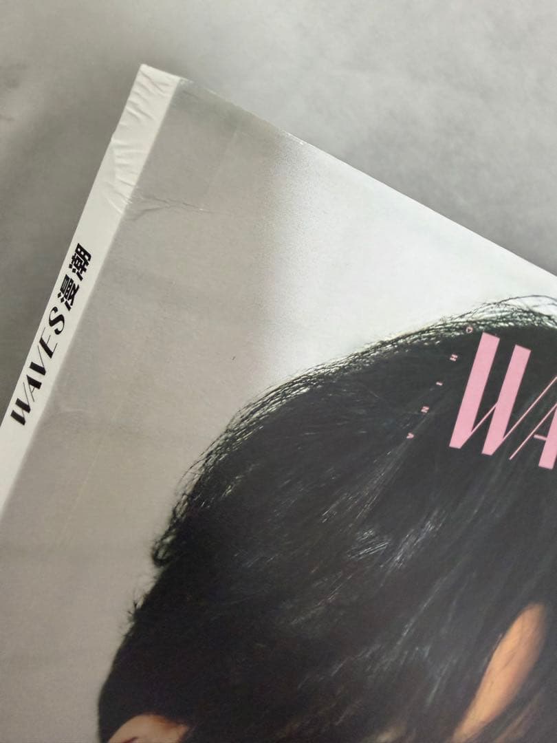 SEVENTEEN ミンギュ waves漫潮 チェキ　2冊セット